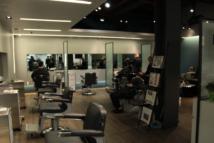 The Ultimate Health & Grooming Experience